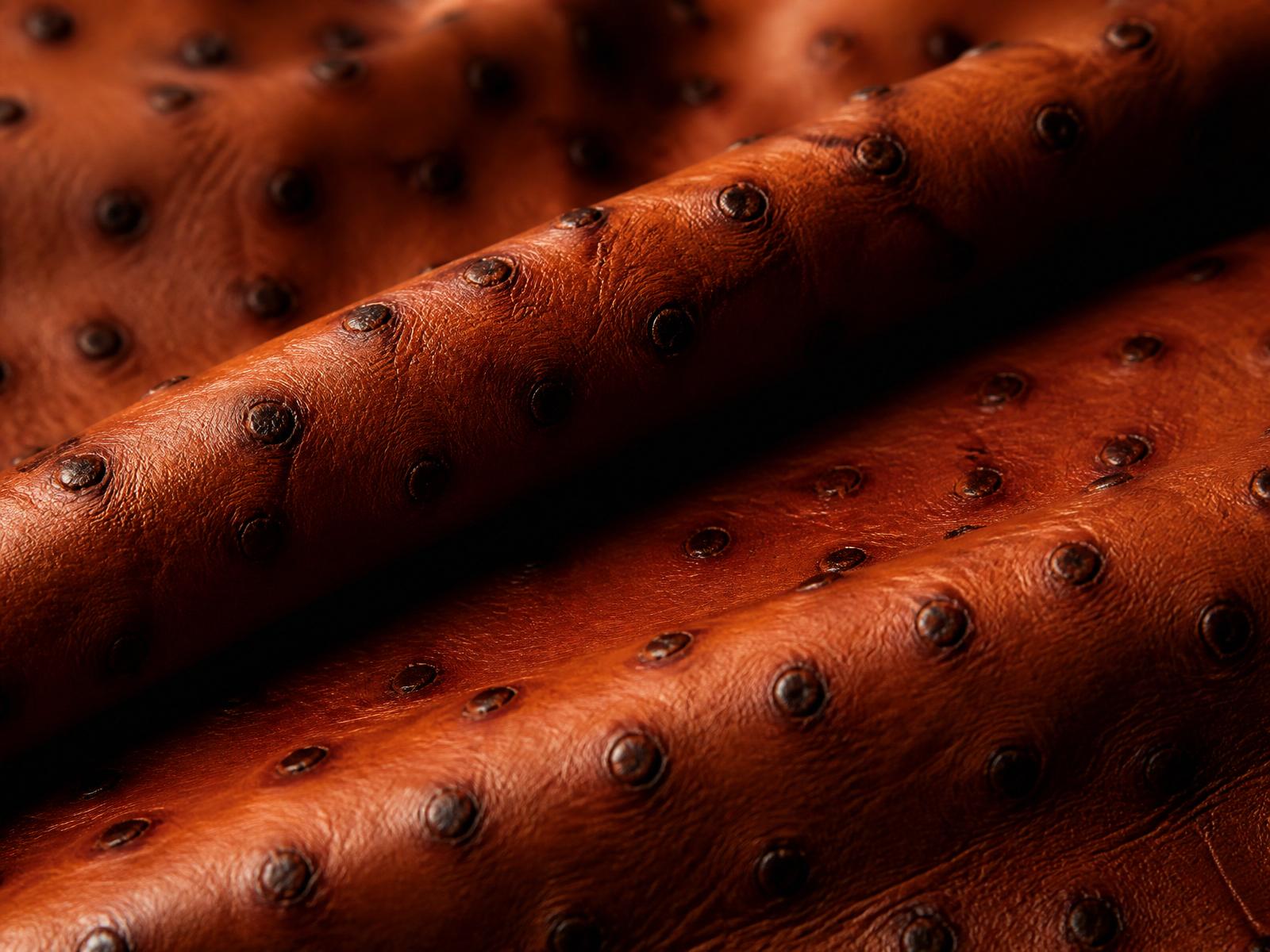 South African ostrich leather — close-up of quill follicle pattern
